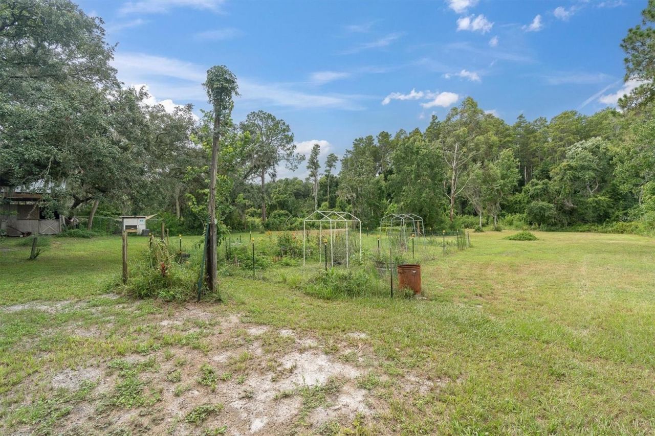 6812 Ridge Top Drive , New Port Richey, FL 34655 Photo