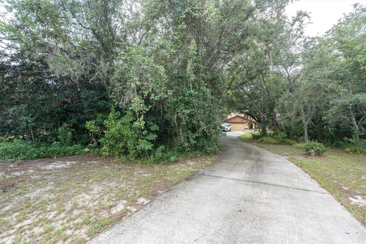 6812 Ridge Top Drive , New Port Richey, FL 34655 Photo