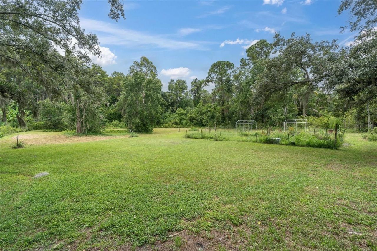 6812 Ridge Top Drive , New Port Richey, FL 34655 Photo