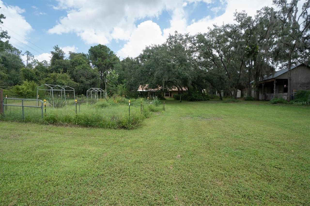 6812 Ridge Top Drive , New Port Richey, FL 34655 Photo