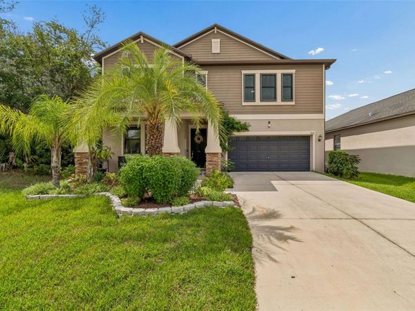11002 LITTLE BLUE HERON DRIVE , RIVERVIEW, FL 33579