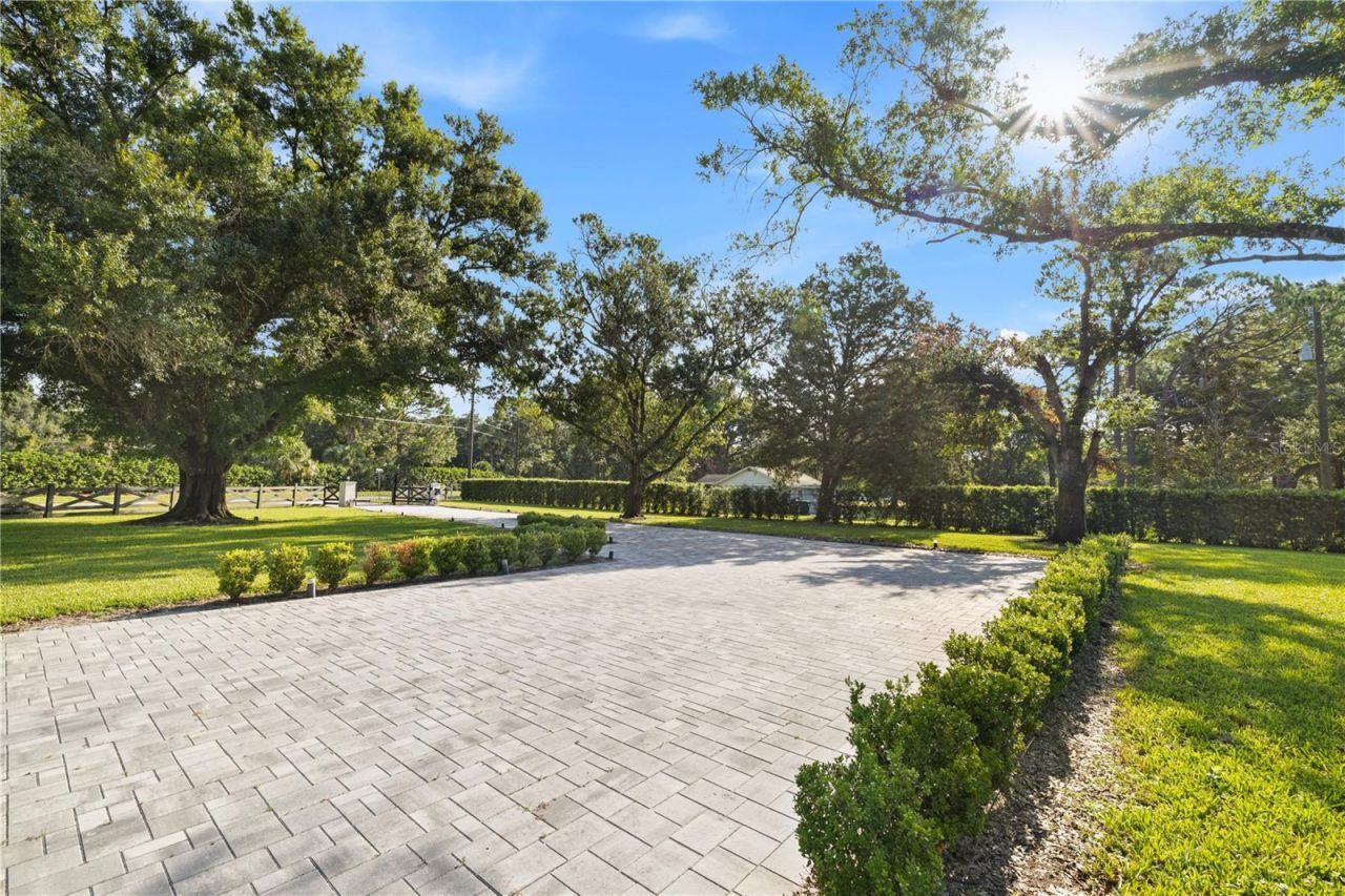 900 W Plant Street, Winter Garden, FL 34787 Photo