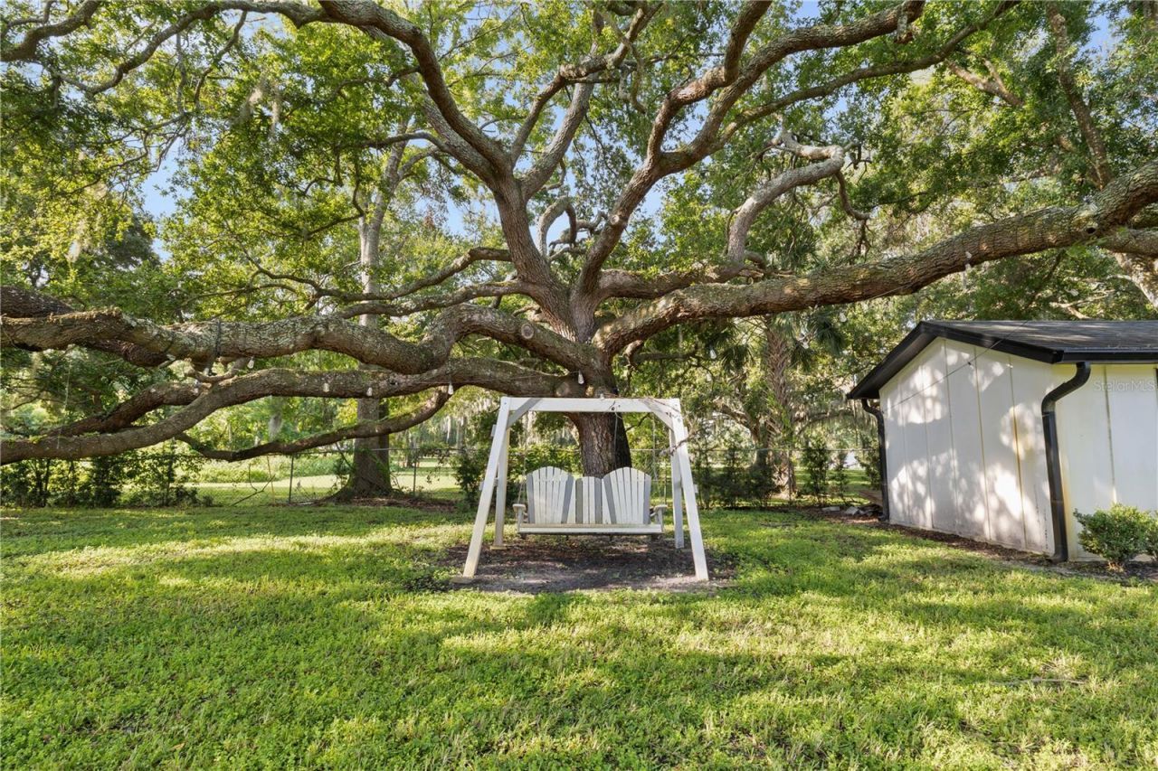 900 W Plant Street, Winter Garden, FL 34787 Photo