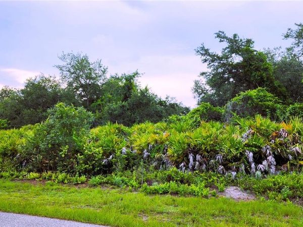 12242 BACCHUS ROAD , PORT CHARLOTTE, FL 33981