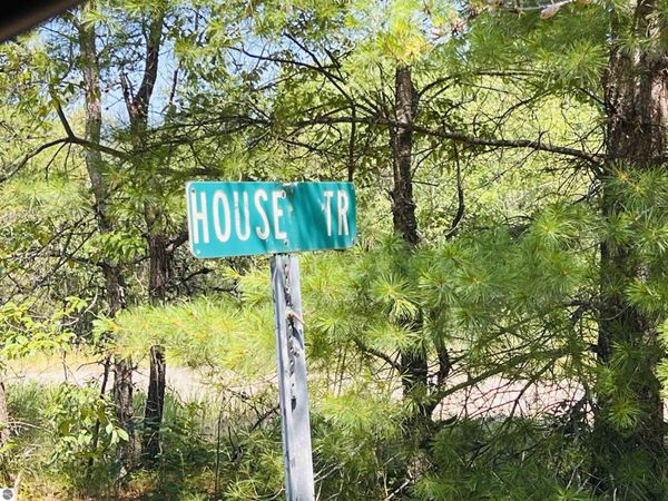 9401 House Trail, Marion, MI 49665