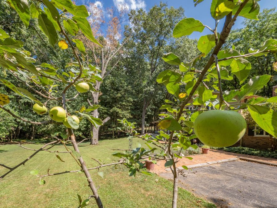 Property Image 40