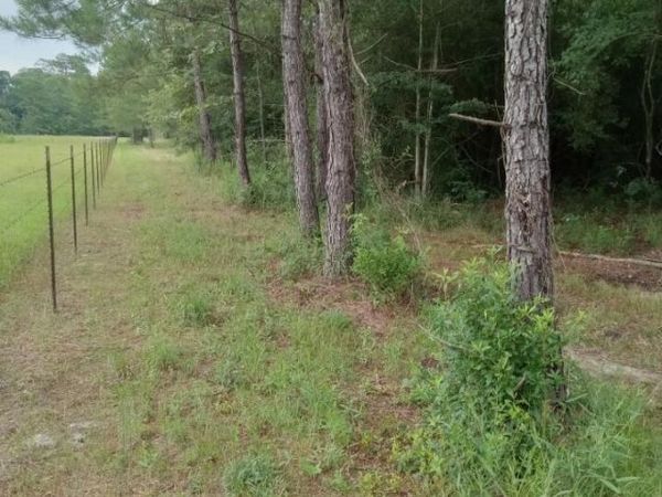 Nhn Compton Ranch Rd , Poplarville, MS 39470