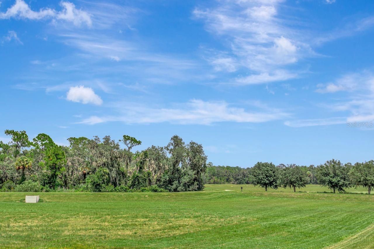 14922 Fishhawk Preserve Drive, Lithia, FL 33547 Photo