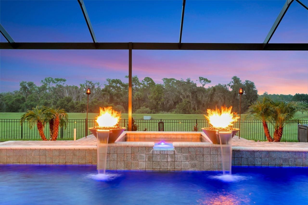 14922 Fishhawk Preserve Drive, Lithia, FL 33547 Photo