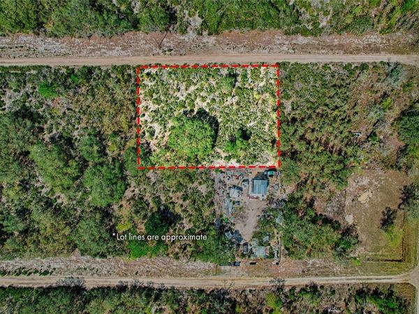000 NE 68TH PLACE , WILLISTON, FL 32696