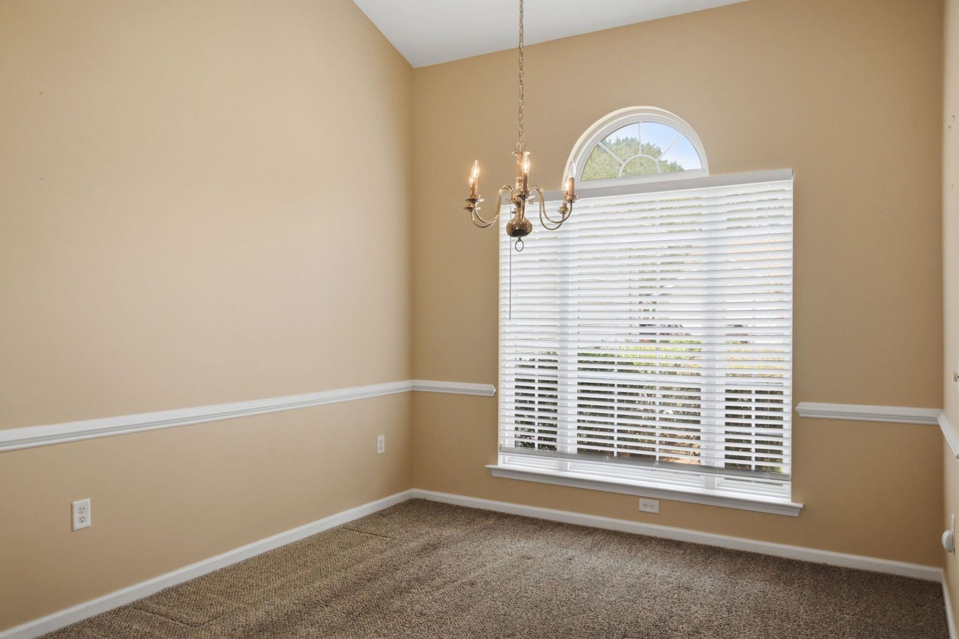1037 Vestry Dr. Photo 10
