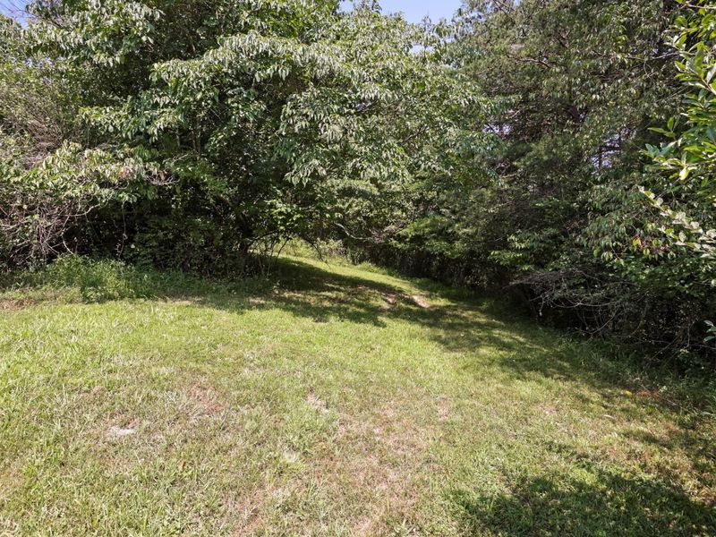 5595 Sheets Road, Logan, OH 43138 Photo 62