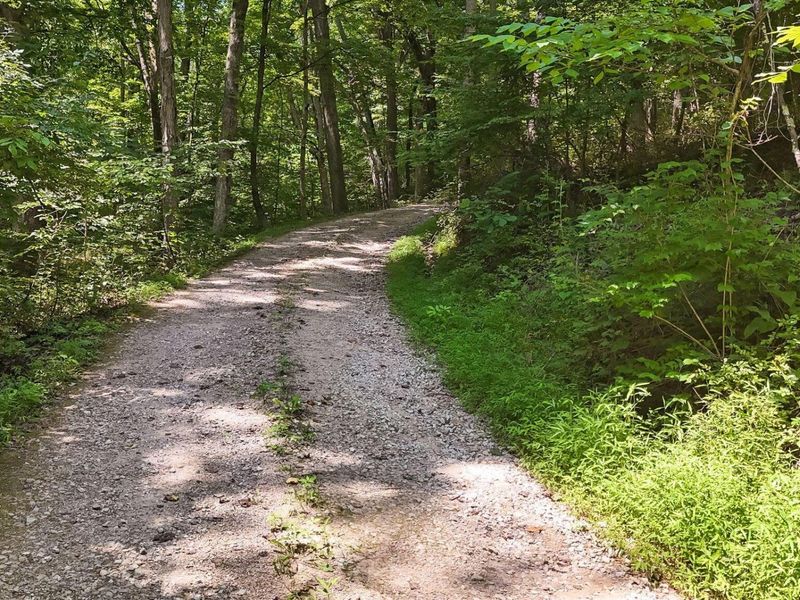 5595 Sheets Road, Logan, OH 43138 Photo 85