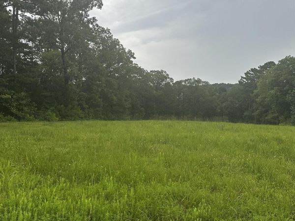 Lot 70 Cobalt Bay Drive , Shirley, AR 72153