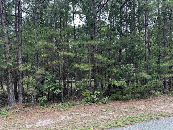 Lot 87 Cobalt Bay Drive , Shirley, AR 72153