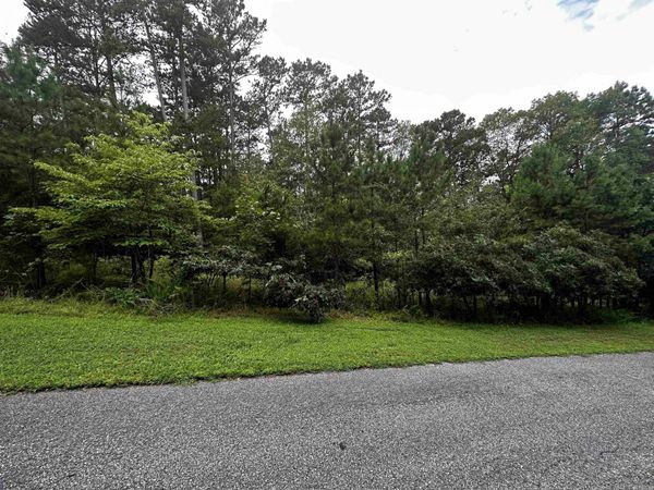 Lot 89 Cobalt Bay Drive , Shirley, AR 72153