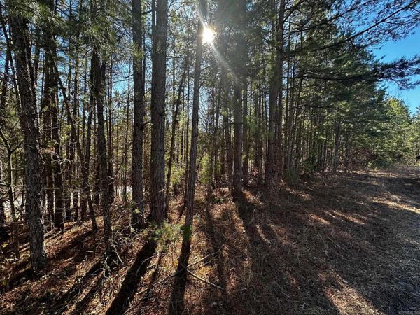 Lot 108 Cobalt Bay Drive , Shirley, AR 72153