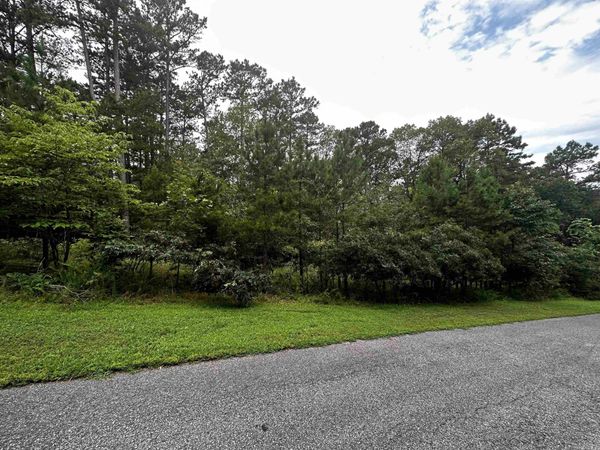 Lot 94 Cobalt Bay Drive , Shirley, AR 72153