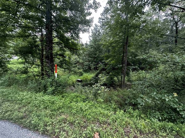 Lot 48 Cobalt Bay Drive , Shirley, AR 72153