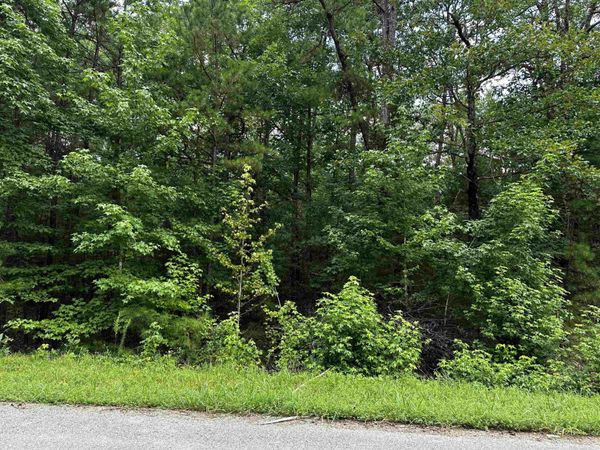 Lot 106 Cobalt Bay Drive, Shirley, AR 72153