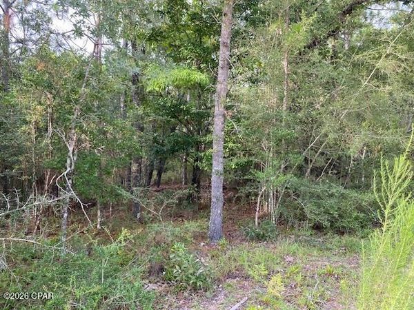 Lot 5 Putnam Avenue , Alford, FL 32420