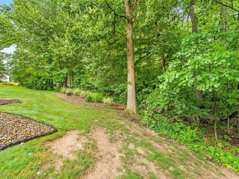 1213 George Street SW, Canton, OH 44706 Photo 29