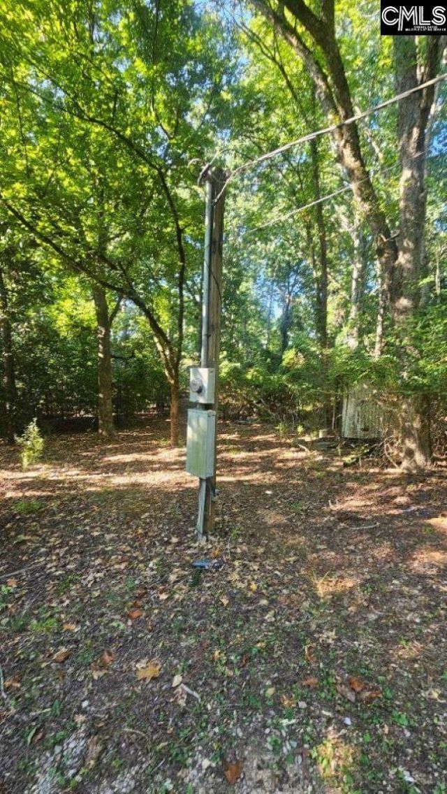 142 Crystal Creek Cr  Photo 4