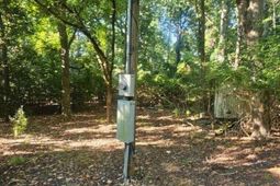 142 Crystal Creek Cr  photo 4