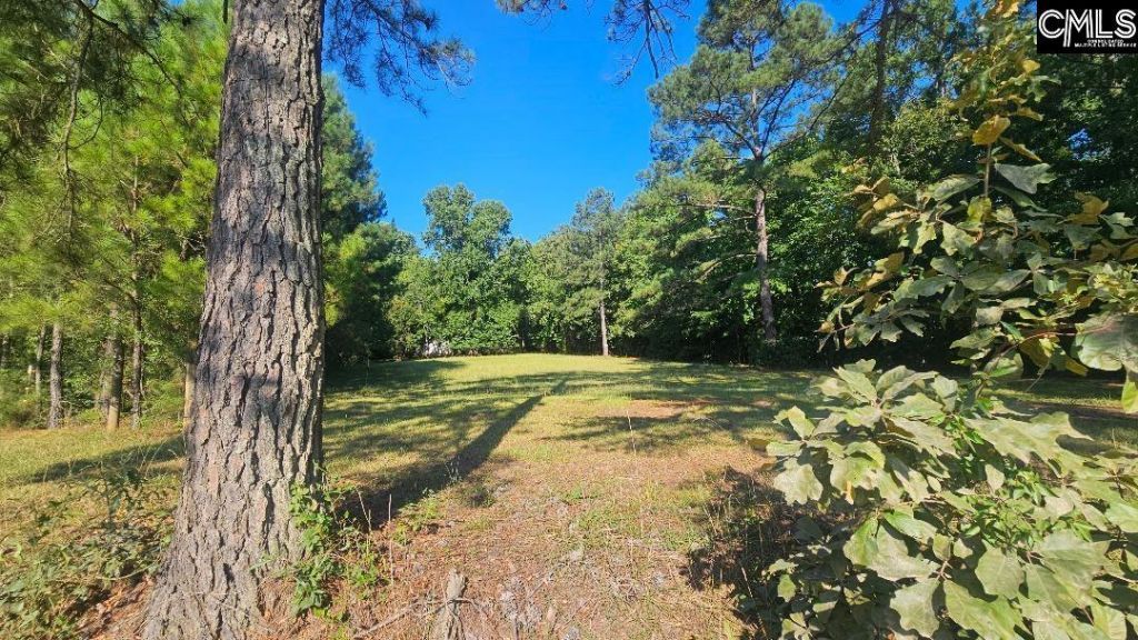 142 Crystal Creek Cr  Photo 6