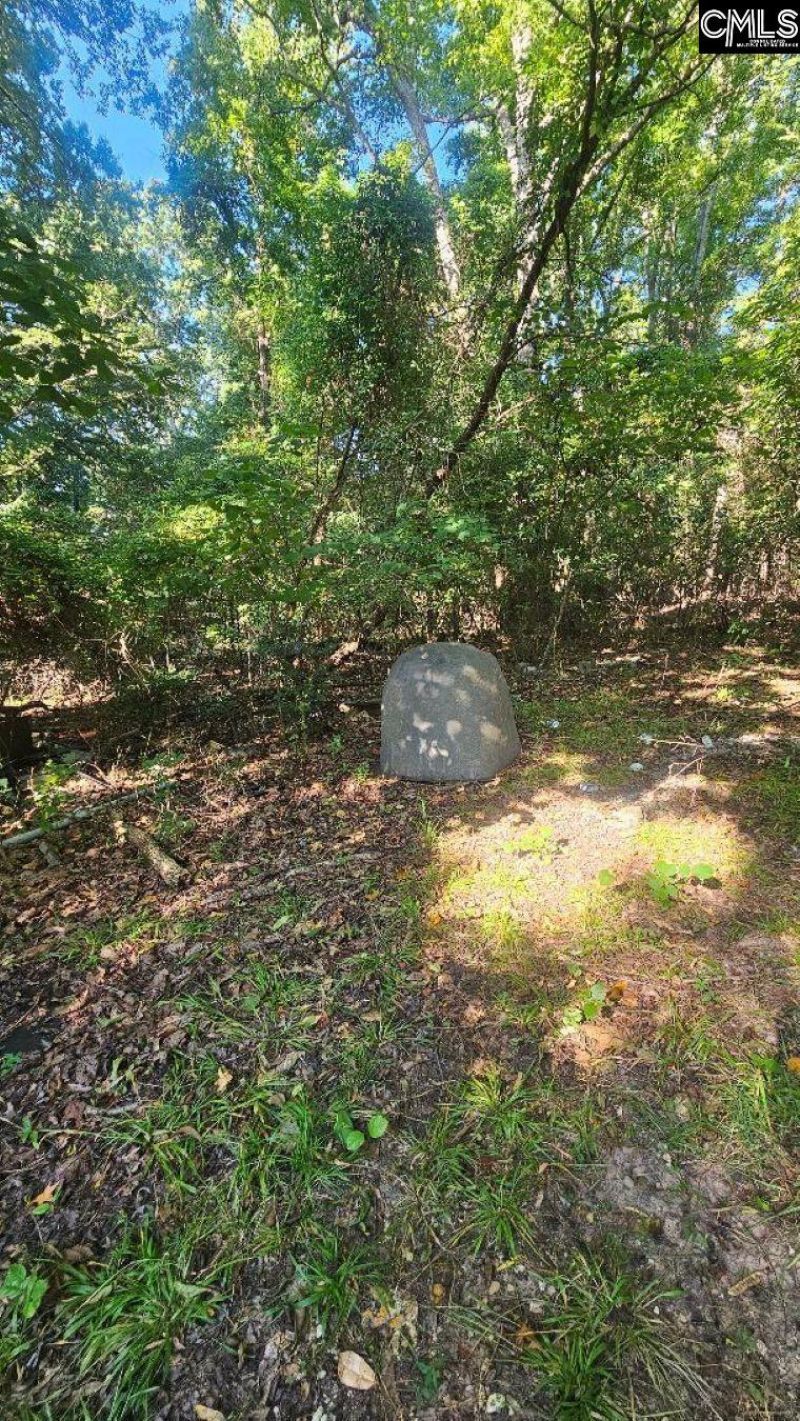 142 Crystal Creek Cr  Photo 8