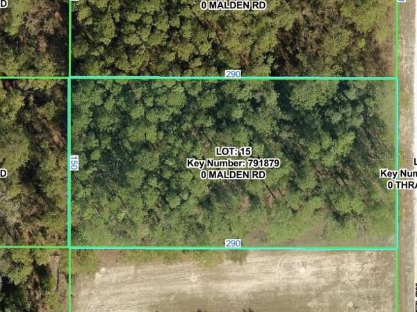 MALDEN ROAD , WEEKI WACHEE, FL 34614
