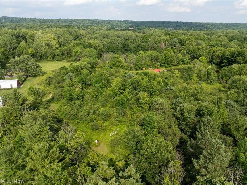 Bennett Road, North Royalton, OH 44133 Photo 25