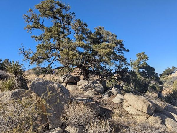 Lot 84 Mountain Park Road, Mountain Center, CA 92561