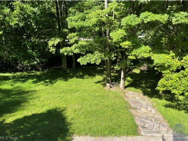 5741 Herbert Road, Canfield, OH 44406 Photo 12