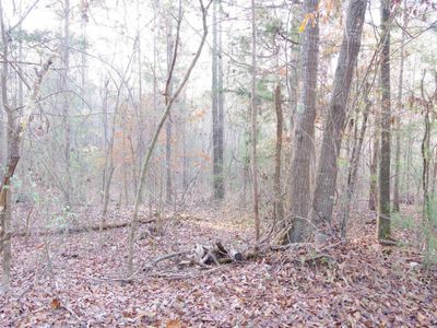 133 archway Court , Little Mountain, SC 29075