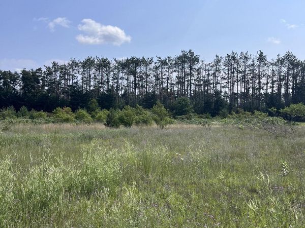 Expressway Court, Gaylord, MI 49735