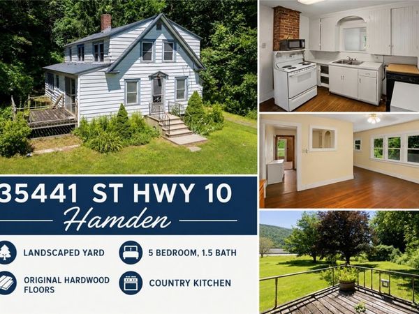 35441 State Highway 10 , Hamden, NY 13782