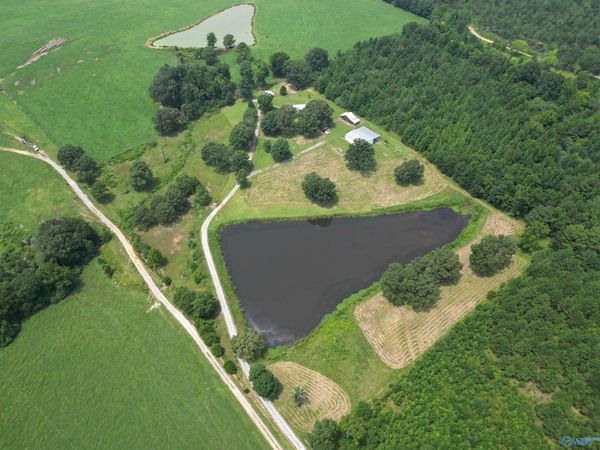 315 County Road 250, Moulton, AL 35650
