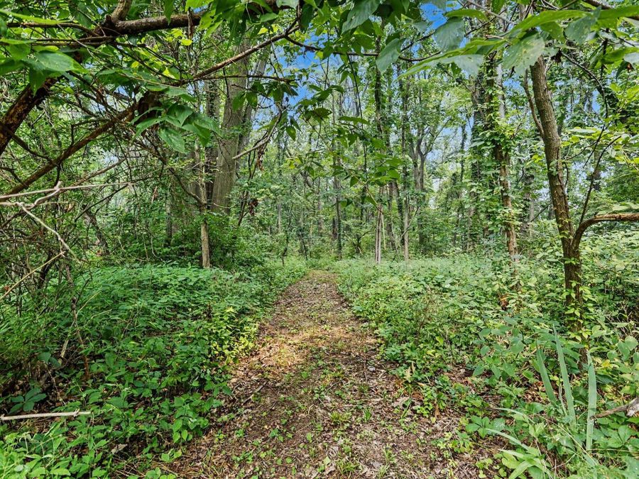 Property Image 38