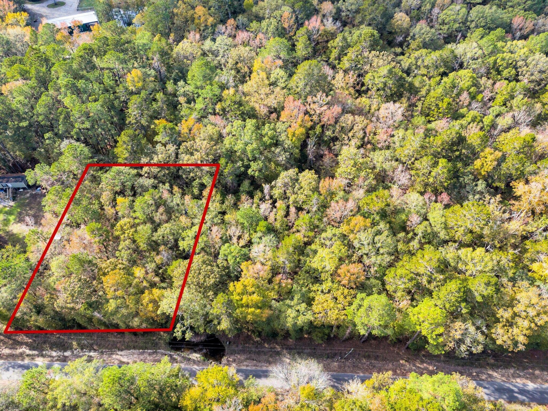 107 Weir Street Photo 10