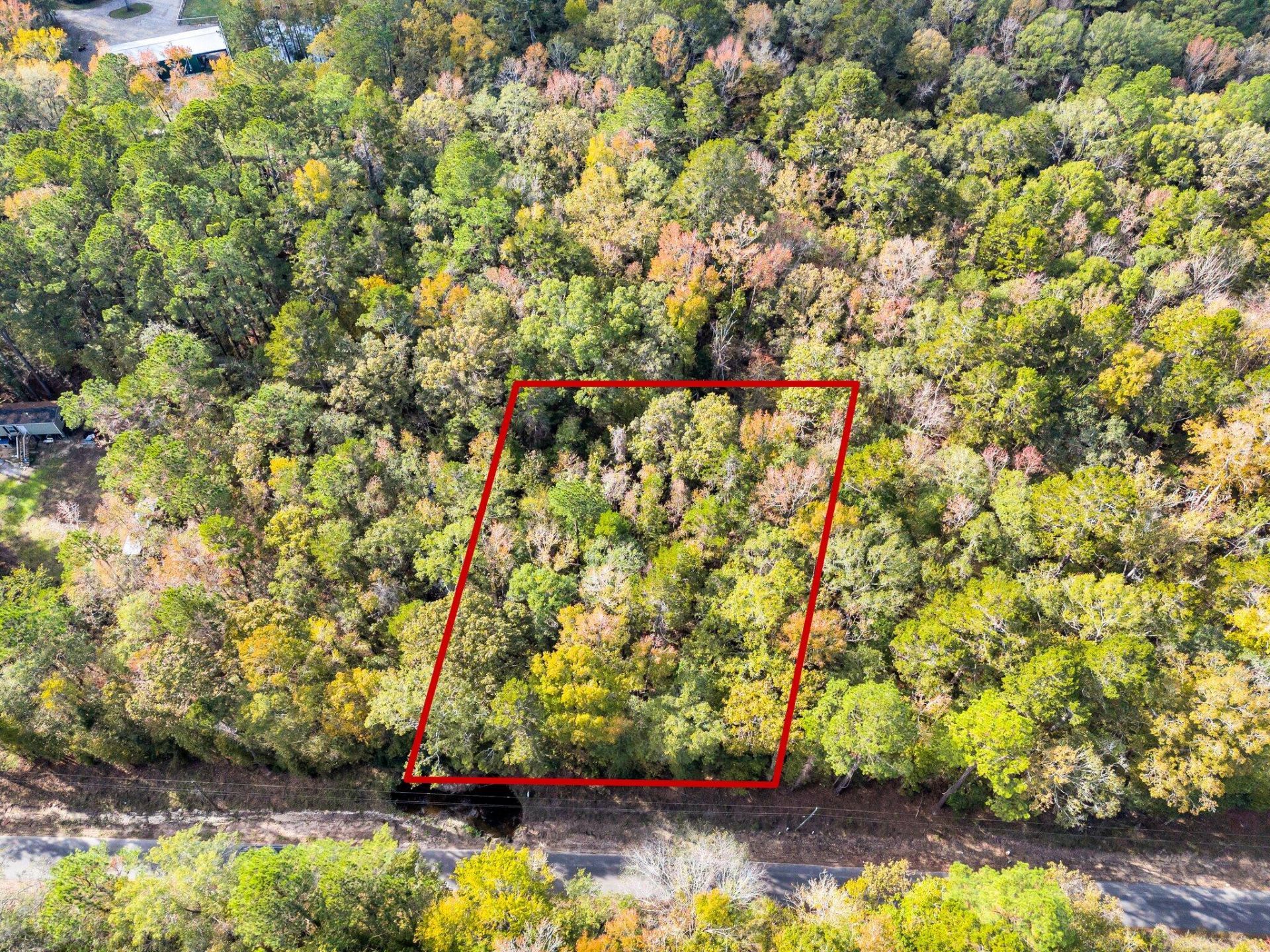 107 Weir Street Photo 11