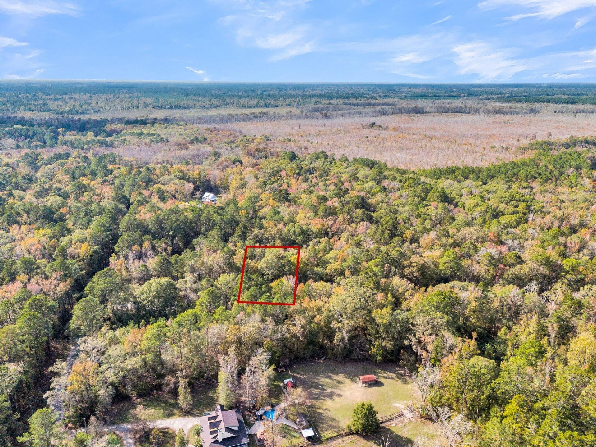 107 Weir Street Photo 27