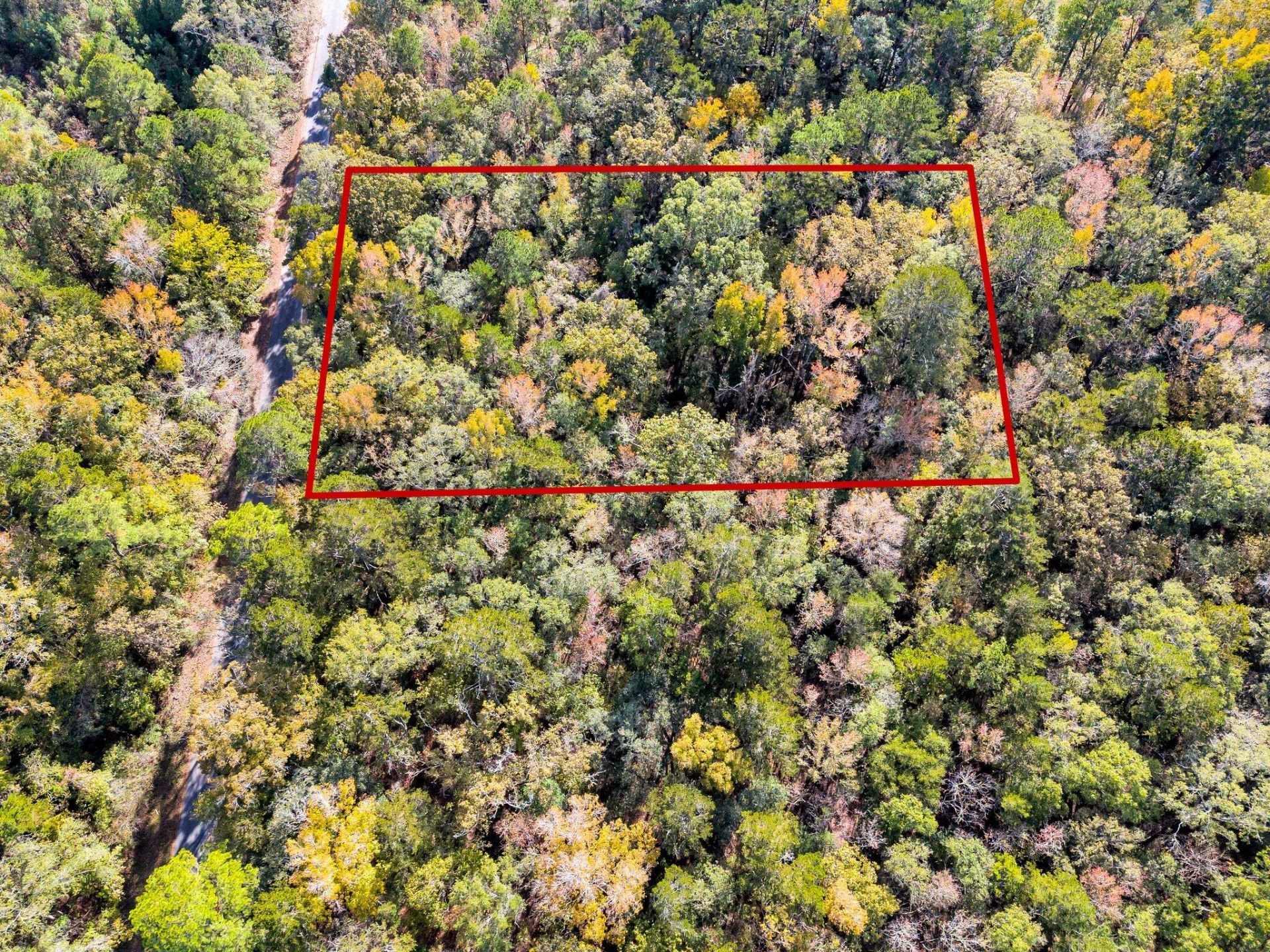 107 Weir Street Photo 32