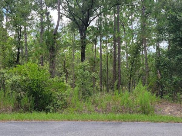 0 NW CHESTNUT AVENUE , DUNNELLON, FL 34431