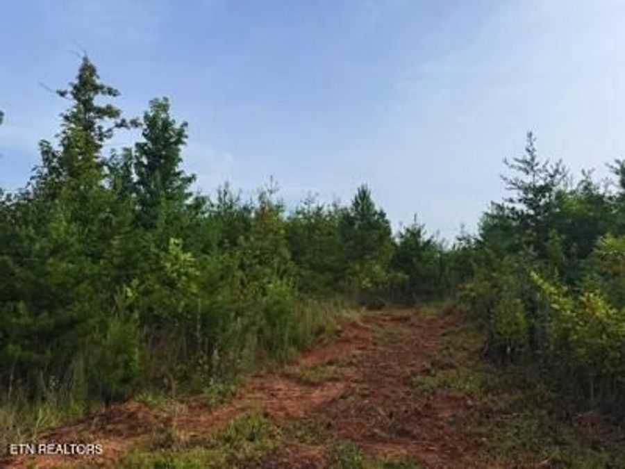 Property Image 22
