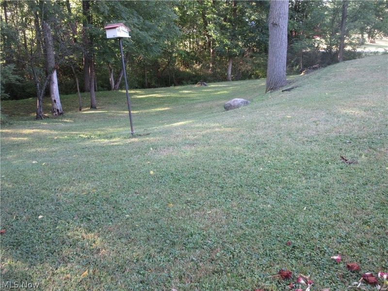 75 E Erie Street, Jefferson, OH 44047 Photo 9