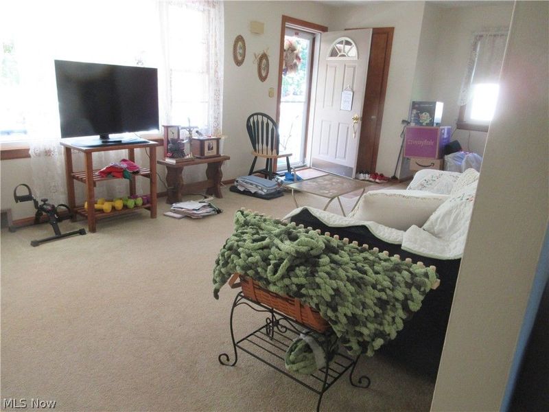 75 E Erie Street, Jefferson, OH 44047 Photo 9
