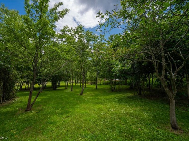 3226 State Route 3, Loudonville, OH 44842 Photo 10