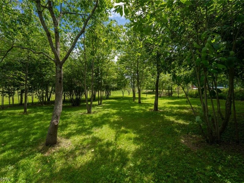 3226 State Route 3, Loudonville, OH 44842 Photo 12
