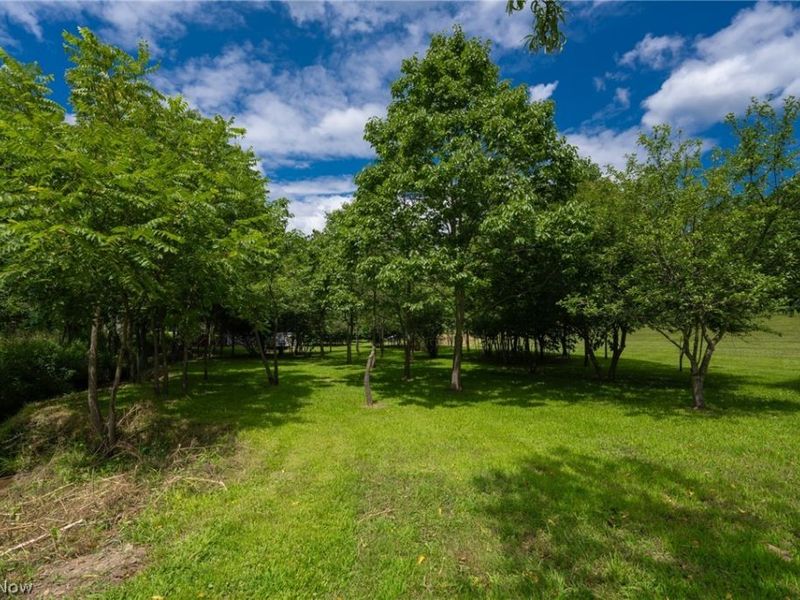 3226 State Route 3, Loudonville, OH 44842 Photo 13